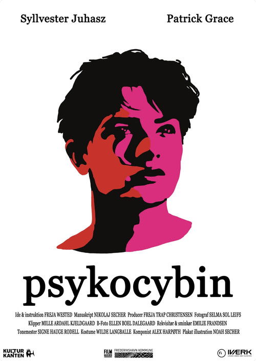 Psykocybin (2024) poster