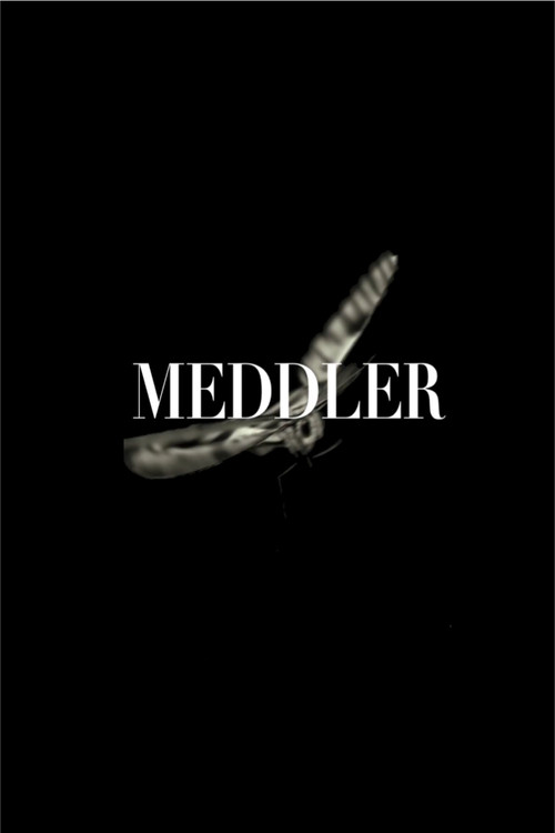 Meddler (2011) poster