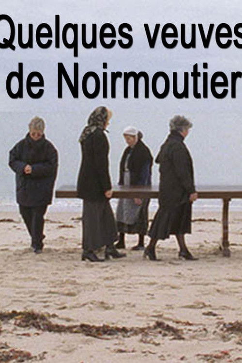 Quelques veuves de Noirmoutier (2006) poster