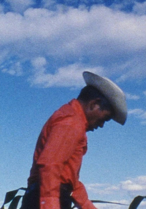 Anselmo and the Women (1986) poster