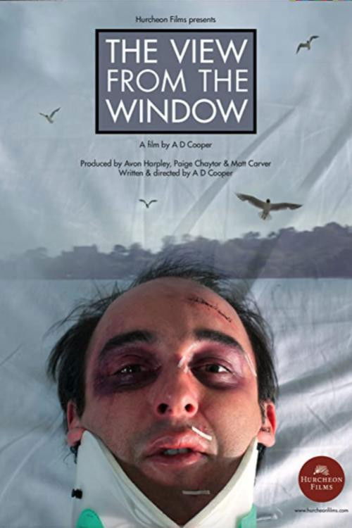 The View From The Window (2012) poster