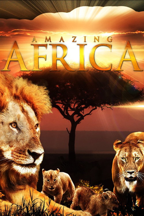 Faszination Afrika (2012) poster