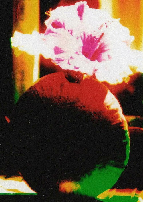 The Room of Chromatic Mystery (2006) poster