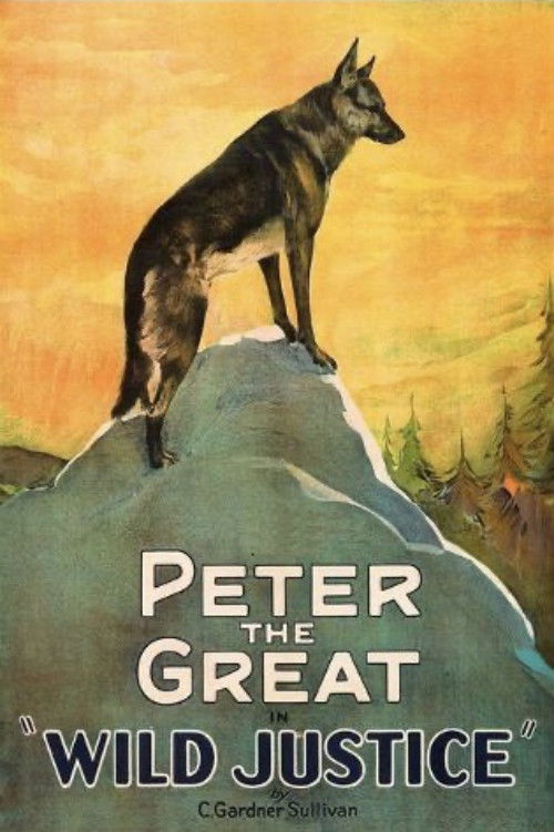 Wild Justice (1925) poster