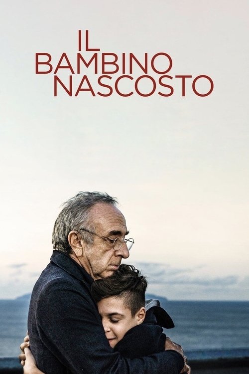 Il bambino nascosto (2021) poster