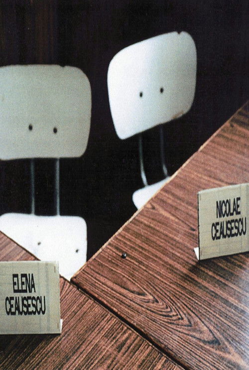 Checkmate: Strategy of a Revolution (2003) poster