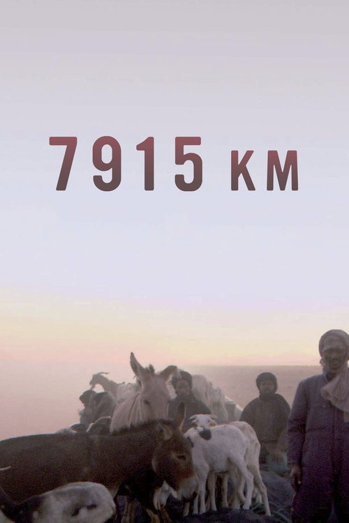 7915 Km (2008) poster