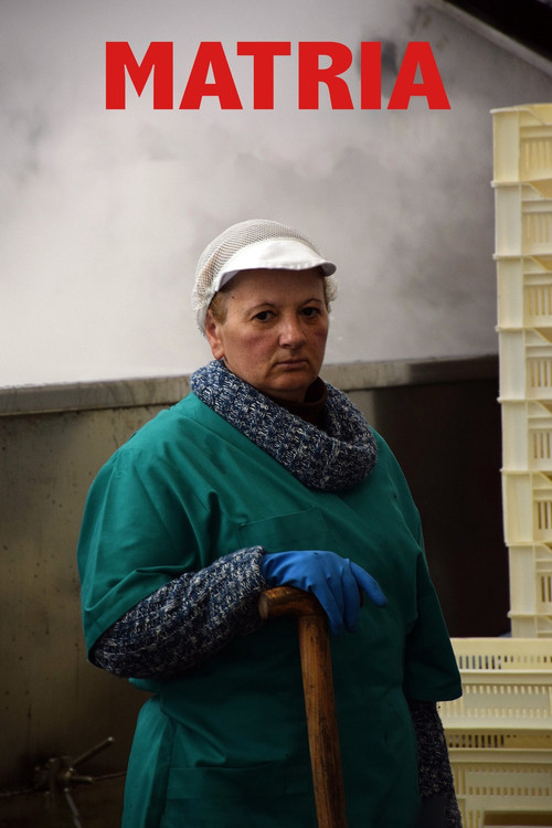 Matria (2017) poster