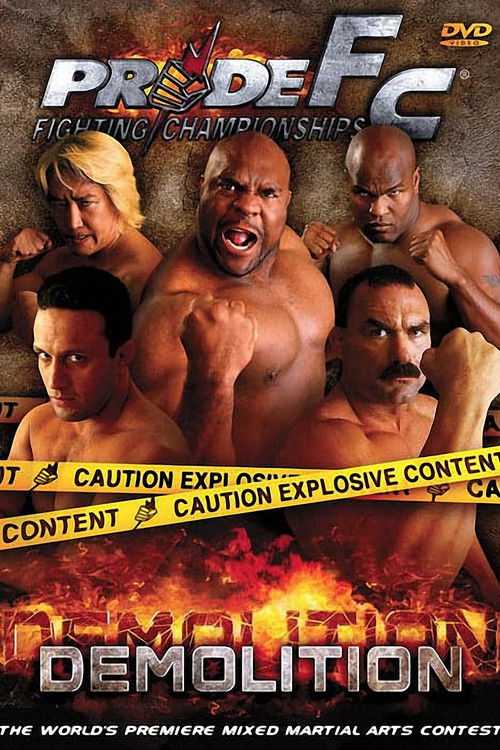 Pride 21: Demolition (2002) poster