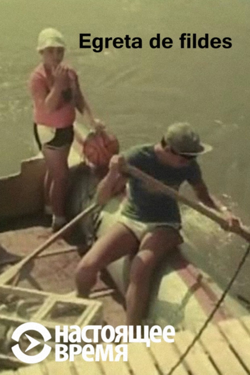 The Ivory Aigrette (1987) poster