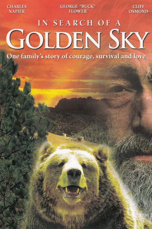 In Search of a Golden Sky (1984) poster