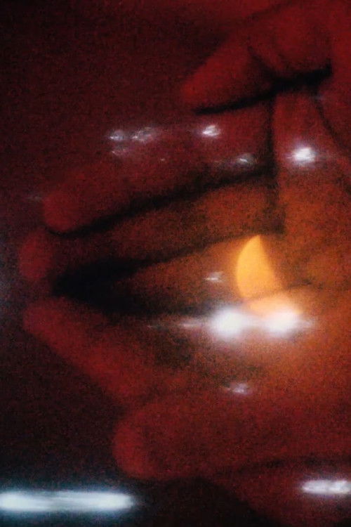 Trabalho de Amor Perdido (2025) poster