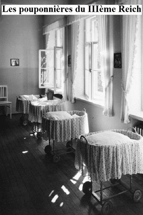 Les pouponnières du IIIème Reich (2013) poster
