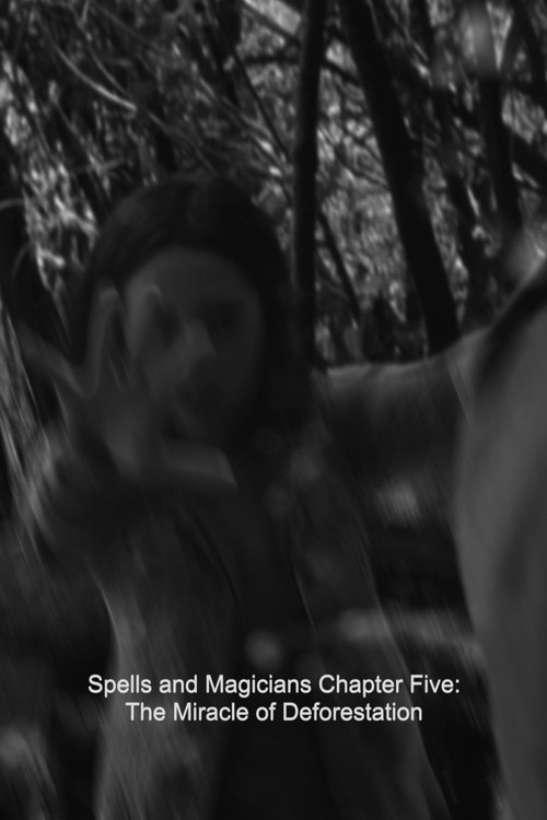 Spells and Magicians Chapter Five: The Miracle of Deforestation (2015) poster