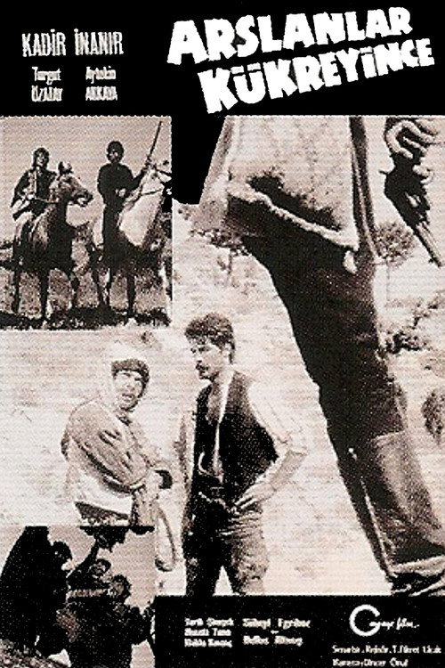 Aslanlar Kükreyince (1971) poster