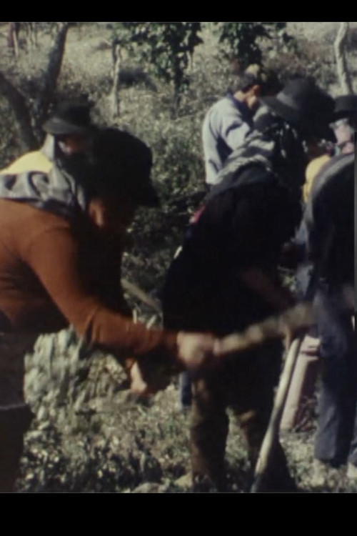 A REVOLUCIÓN (É) PROBABLE (2022) poster