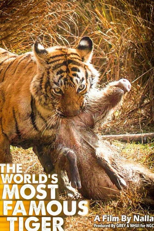 The World's Most Famous Tiger (2017) poster