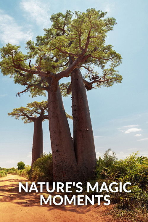 Nature's Magic Moments (2022) poster