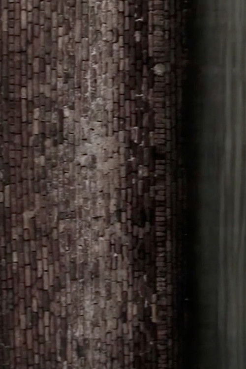 The Little White Doves (2011) poster