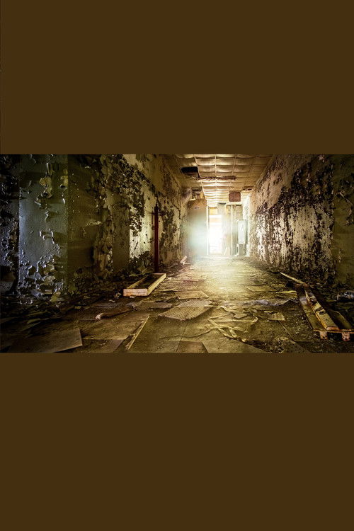 Rückkehr nach Tschernobyl - Das Leben nach dem Super-GAU (2020) poster