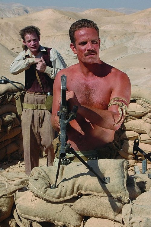 Homeland (2008) poster