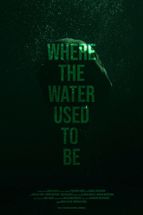 Where the Water Used to Be (2026) poster