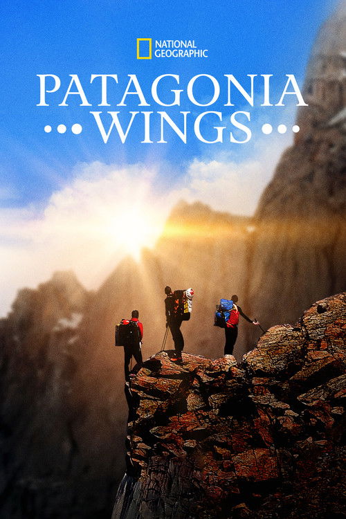 Patagonia Wings (2020) poster