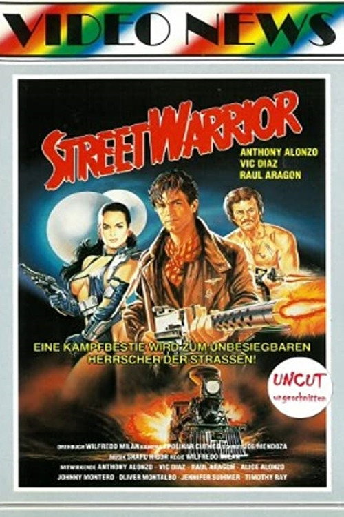 Revenge of the Street Warrior (1987) poster