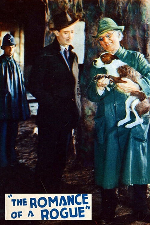 Romance of a Rogue (1928) poster