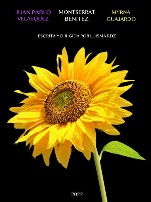 De la Noche a la Mañana (2022) poster