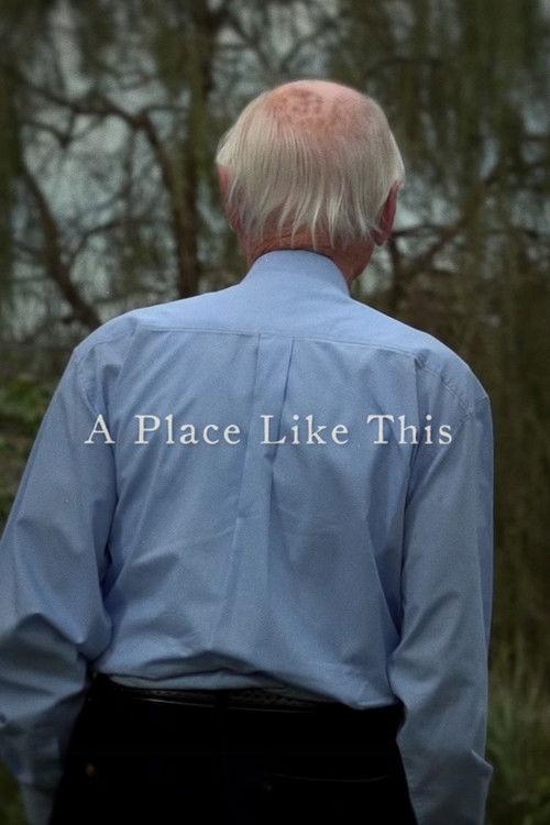 A Place Like This (2012) poster