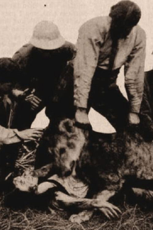 Alone in the Jungle (1913) poster