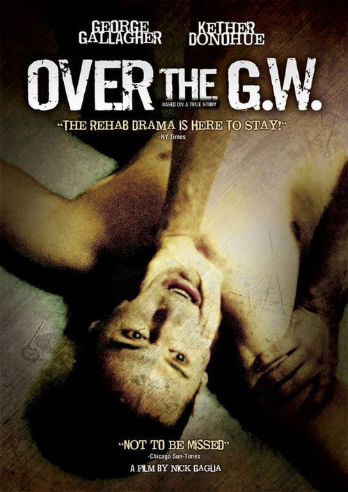 Over the GW (2007) poster