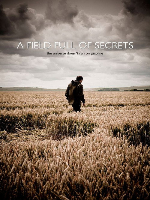 A Field Full of Secrets (2014) poster