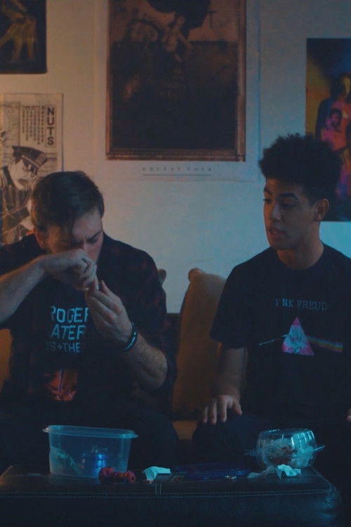 Quince's First Time Getting High (2018) poster