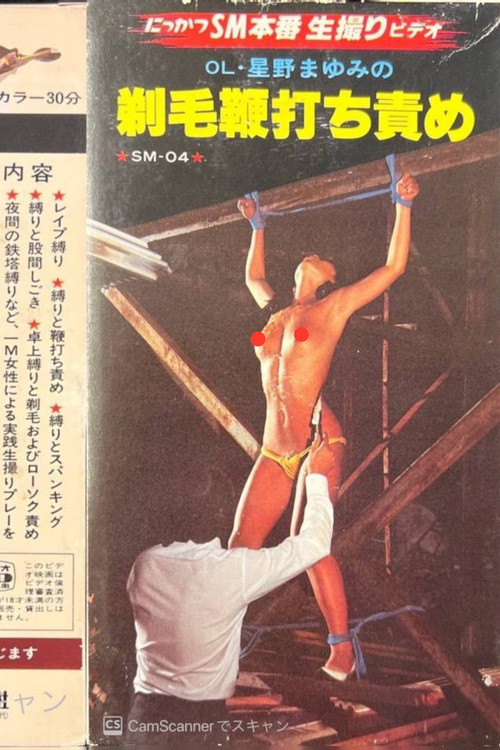 OL Mayumi Hoshino: Shaved Hair Whipping Torture (1982) poster