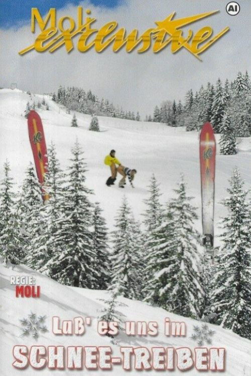 Lass es uns im Schnee treiben (2001) poster