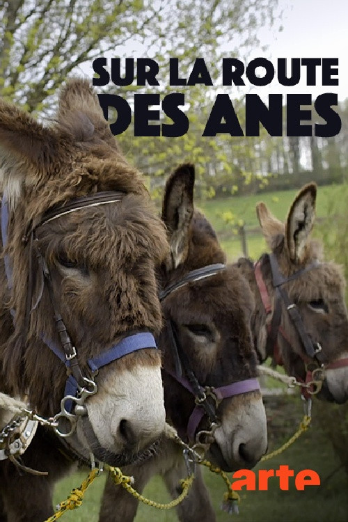 Sur la route des ânes (2018) poster