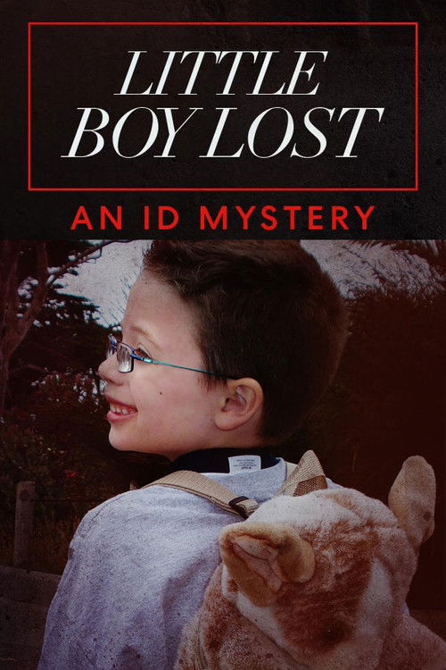 Little Boy Lost: An ID Mystery (2020) poster