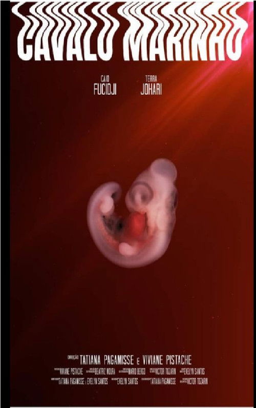 Cavalo Marinho (2019) poster