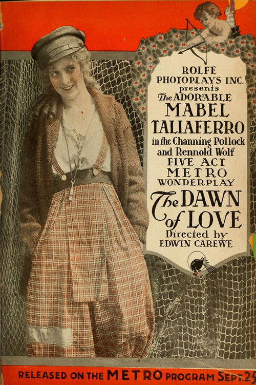 The Dawn of Love (1916) poster