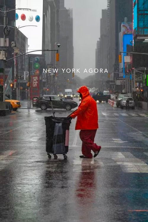 New York Agora: The Legacy of the 60s Counterculture (2008) poster