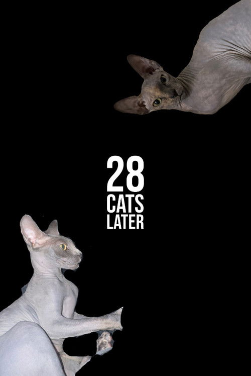 28 Cats Later (2025) poster