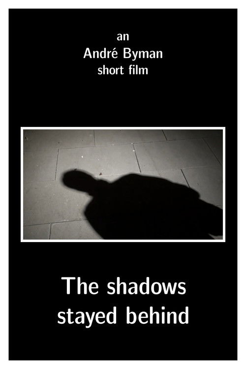 The shadows stayed behind (2011) poster