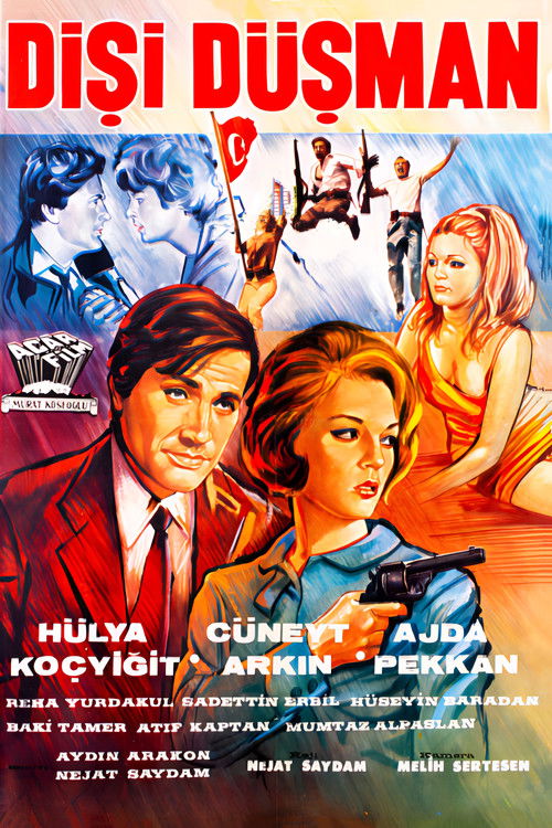 Dişi Düşman (1966) poster