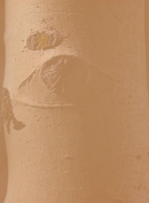 And Their Eyes Are Not Watching Us (2020) poster