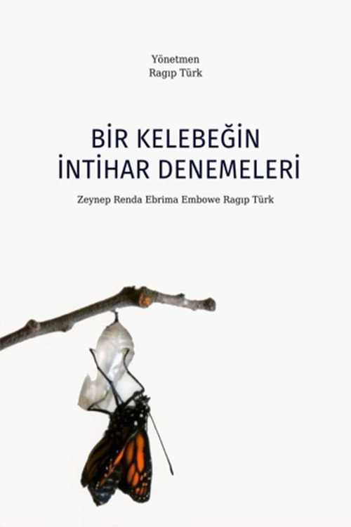 A Suicide Attempts of a Butterfly (2012) poster
