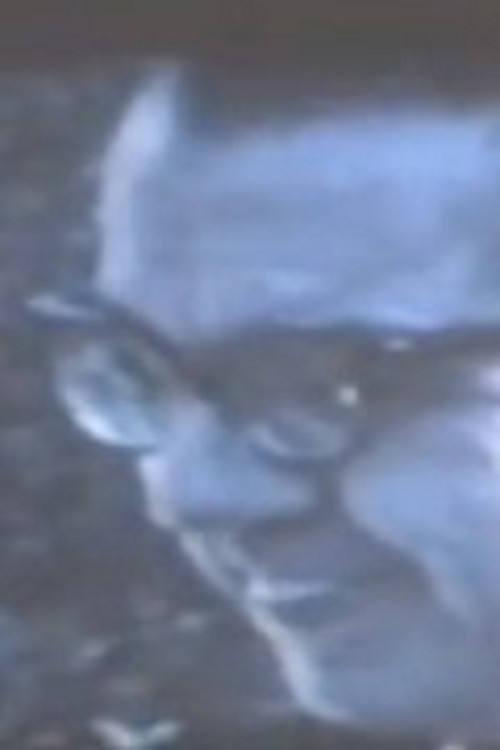 Modi di vivere - Giorgio Colli. Una conoscenza per cambiare la vita (1980) poster