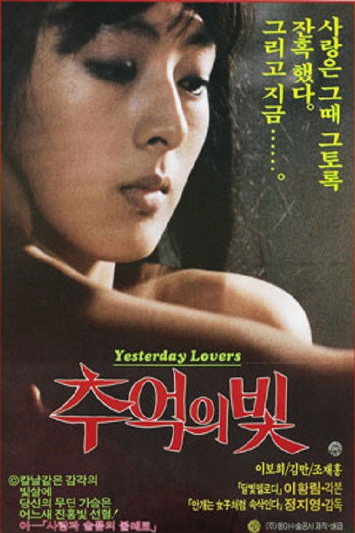추억의 빛 (1985) poster