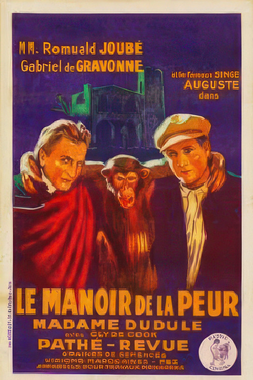 The Manor House of Fear (1927) poster